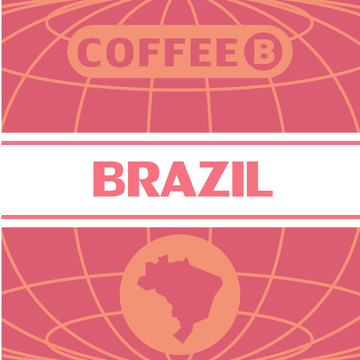 Brazil Nyers Kávé