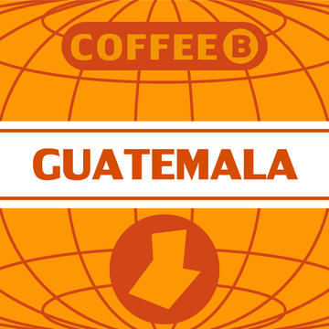 Guatemala nyers Kávé