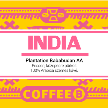 India Plantation Bababudan AA