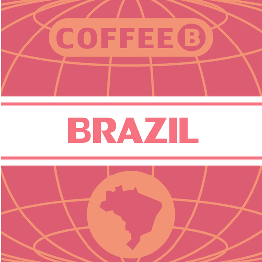 Brazil Nyers Kávé